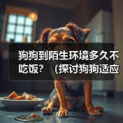 狗狗到陌生环境多久不吃饭？（探讨狗狗适应陌生环境后的饮食问题）（图2）