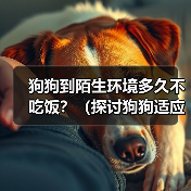 狗狗到陌生环境多久不吃饭？（探讨狗狗适应陌生环境后的饮食问题）（图4）