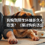 狗狗到陌生环境多久不吃饭？（探讨狗狗适应陌生环境后的饮食问题）（图1）