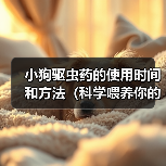 小狗驱虫药的使用时间和方法（科学喂养你的小狗，健康守护从驱虫开始）（图1）