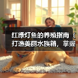 红绿灯鱼的养殖指南(打造美丽水族箱,掌握红绿灯鱼的养殖技巧)(图3) 红绿灯鱼的养殖指南(打造美丽水族箱,掌握红绿灯鱼的养殖技巧)(图3)