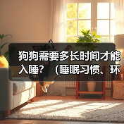 狗狗需要多长时间才能入睡？（睡眠习惯、环境因素和训练方式的影响）（图1）