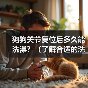 狗狗关节复位后多久能洗澡？（了解合适的洗澡时间，为你的狗狗提供最佳的关节复位护理）（图3）