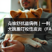 克维舒抗菌病例 | 一例犬跳蚤叮咬性皮炎（FAD）的病例分析（图4）
