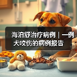 海泊舒治疗病例 | 一例犬咬伤的病例报告（图2）