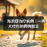 海泊舒治疗病例 | 一例犬咬伤的病例报告（图3）