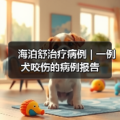 海泊舒治疗病例 | 一例犬咬伤的病例报告（图4）