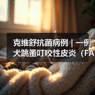 克维舒抗菌病例 | 一例犬跳蚤叮咬性皮炎（FAD）的病例分析（图1）