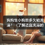 狗狗生小狗后多久能洗澡？（了解适宜洗澡的时间和方式，让你的小狗保持清洁健康）（图4）
