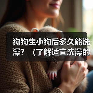 小狗多久能洗澡？正确方法与注意事项详解