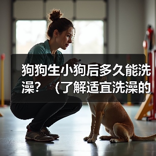 狗狗生小狗后多久能洗澡？（了解适宜洗澡的时间和方式，让你的小狗保持清洁健康）（图3）
