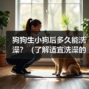 狗狗生小狗后多久能洗澡？（了解适宜洗澡的时间和方式，让你的小狗保持清洁健康）（图2）