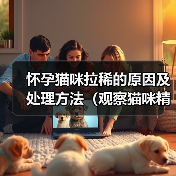 怀孕猫咪拉稀怎么办？饮食调整与处理方法