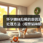 怀孕猫咪拉稀的原因及处理方法（观察猫咪精神状态，细心呵护怀孕宝贝）（图2）