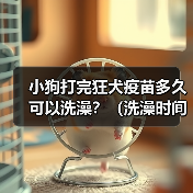 小狗打完狂犬疫苗多久可以洗澡?(洗澡时间和注意事项)(图2) 小狗打完狂犬疫苗多久可以洗澡?(洗澡时间和注意事项)(图2)