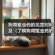 狗用驱虫药见效时间及影响因素