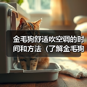 金毛狗舒适吹空调的时间和方法（了解金毛狗对空调的适应能力以及正确使用方法）（图4）