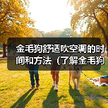 金毛狗舒适吹空调的时间和方法（了解金毛狗对空调的适应能力以及正确使用方法）（图1）