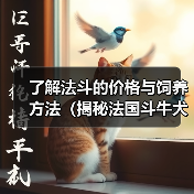 法斗价格与饲养方法：关键指南