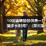 10磅猫粮能够供养一只猫多长时间？（探究猫粮的使用寿命与猫的需求，解答猫主人的疑惑）（图1）