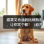 搞笑又合适的比熊狗名，让你笑个够！（避开尴尬，与狗名禁忌保持距离）（图4）