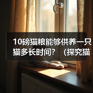 10磅猫粮能够供养一只猫多长时间？（探究猫粮的使用寿命与猫的需求，解答猫主人的疑惑）（图3）