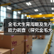 金毛犬生育周期及生产能力调查（探究金毛犬的生殖能力及生育间隔时间）（图4）