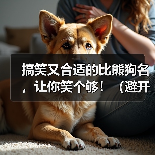 搞笑又合适的比熊狗名，让你笑个够！（避开尴尬，与狗名禁忌保持距离）（图1）