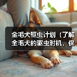 金毛犬驱虫关键时间点与健康养护指南