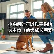 小狗干狗粮主食时间及喂养注意事项