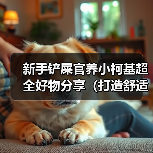 新手铲屎官必备：小柯基实用养犬用品全攻略