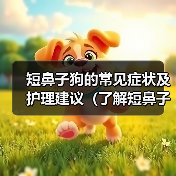 短鼻子狗的健康隐患及科学护理指南