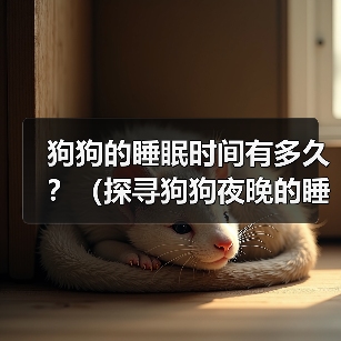 狗狗睡眠需求解析：夜间休息时间与健康影响