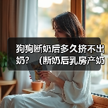 狗狗断奶后多久挤不出奶？（断奶后乳房产奶停止的时间和相关原因）（图2）