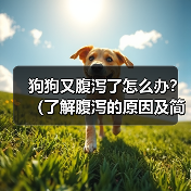 狗狗又腹泻了怎么办？（了解腹泻的原因及简单应对方法）（图1）