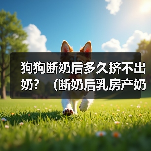 狗狗断奶后多久挤不出奶？（断奶后乳房产奶停止的时间和相关原因）（图4）