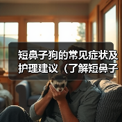 短鼻子狗的常见症状及护理建议（了解短鼻子狗的身体特征和健康问题，保护它们的呼吸和舒适度）（图4）