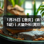 1月26日【重庆】(第125期)丨犬猫外科(高阶)班！含SUB(人人可实操)、乳糜胸等技术！