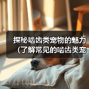 探秘啮齿类宠物的魅力（了解常见的啮齿类宠物及它们的特点）（图4）