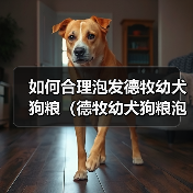 如何合理泡发德牧幼犬狗粮（德牧幼犬狗粮泡发的时间与方法）