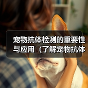 宠物抗体检测的重要性与应用（了解宠物抗体检测的意义和方法，保障宠物健康）（图2）