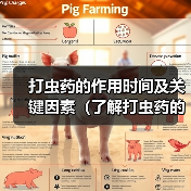 打虫药的作用时间及关键因素（了解打虫药的起作用时间有助于治疗寄生虫感染）