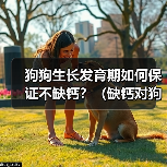 狗狗生长发育期如何保证不缺钙？（缺钙对狗狗生长发育的影响及预防方法）