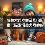 博美犬的寿命及影响因素（探索博美犬寿命的关键因素及延长寿命的方法）