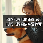 猫咪营养膏的正确使用时间（探索猫咪营养膏的最佳服用周期）