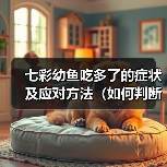 七彩幼鱼吃多了的症状及应对方法(如何判断七彩幼鱼吃多了?如何处理这种情况?)(图3) 七彩幼鱼吃多了的症状及应对方法(如何判断七彩幼鱼吃多了?如何处理这种情况?)(图3)