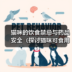 猫咪的饮食禁忌与药品安全（探讨猫咪可食用的人类食物及不能食用的药品，）