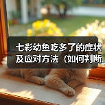 七彩幼鱼吃多了的症状及应对方法(如何判断七彩幼鱼吃多了?如何处理这种情况?)(图2) 七彩幼鱼吃多了的症状及应对方法(如何判断七彩幼鱼吃多了?如何处理这种情况?)(图2)