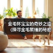 金毛怀宝宝的奇妙之道(探寻金毛繁殖的秘密,让你的宠物成为幸福的父母)(图2) 金毛怀宝宝的奇妙之道(探寻金毛繁殖的秘密,让你的宠物成为幸福的父母)(图2)