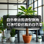 白色泰迪剪造型技巧，打造优雅可爱宠物造型